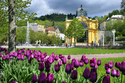 CUP Marienbad 2026 NOZ