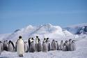 Antarktis HX Expeditions / MS FRIDTJOF NANSEN