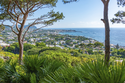 Italienische Insel-Idylle auf Ischia - Thermalquellen, Strände und Lebensart  / Mix