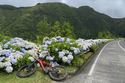 E-Bike-Reise auf die Azoren Die Naturschönheiten São Miguels aktiv entdecken / BadZ